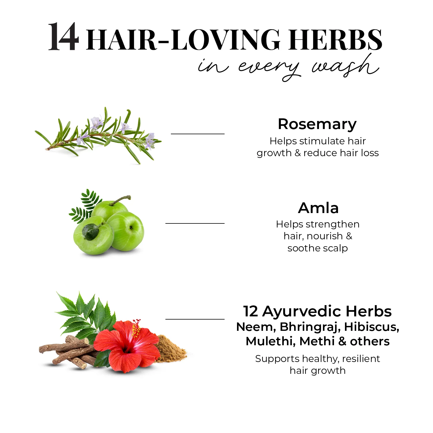 Anti Hairfall Shampoo | Rosemary, Amla & 12 Herbs - Image 6