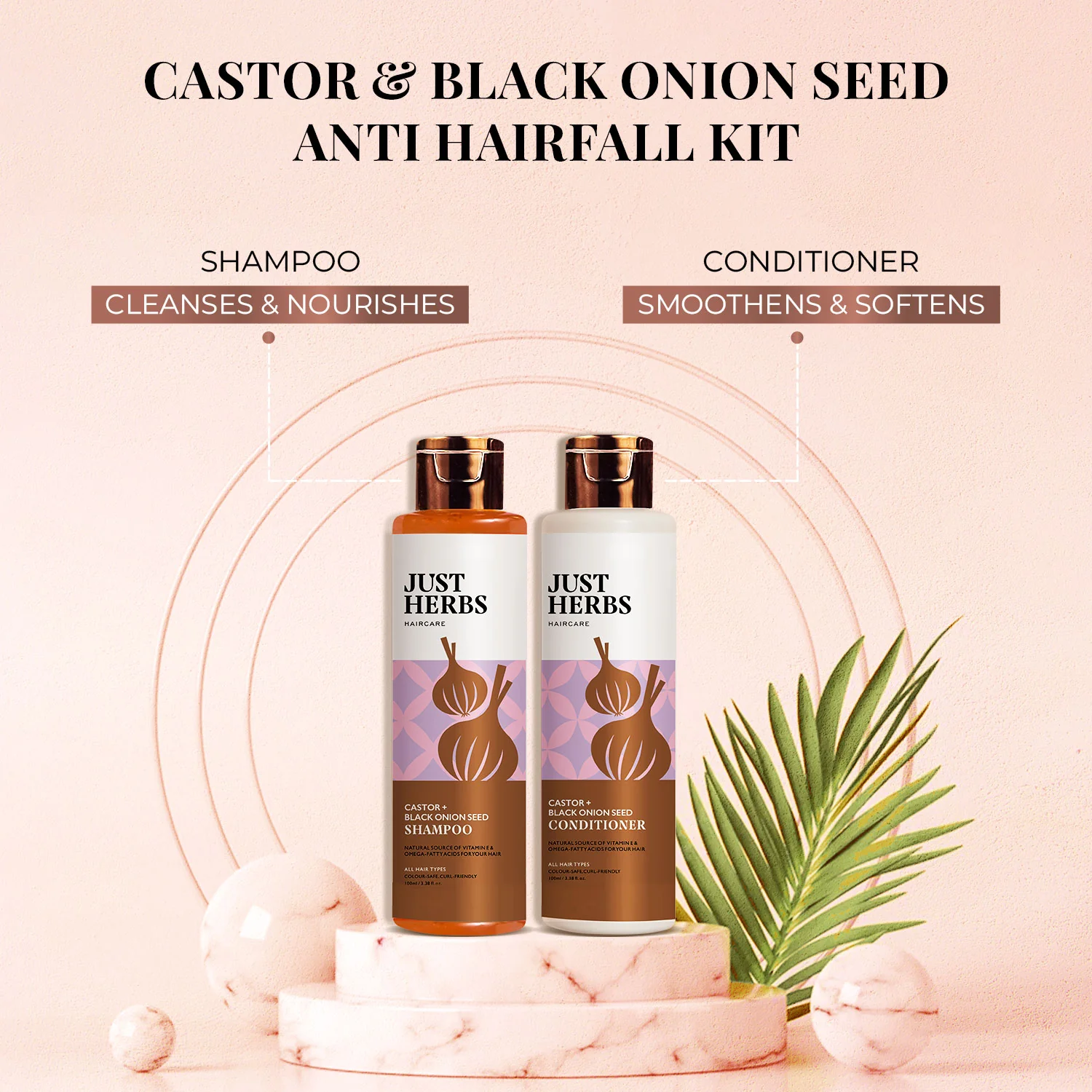 Anti Hair Fall Kit with Castor & Black Onion Seed - Image 3