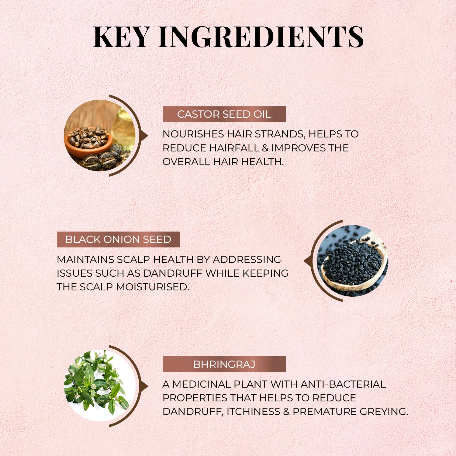 Anti Hair Fall Kit with Castor & Black Onion Seed - Image 4