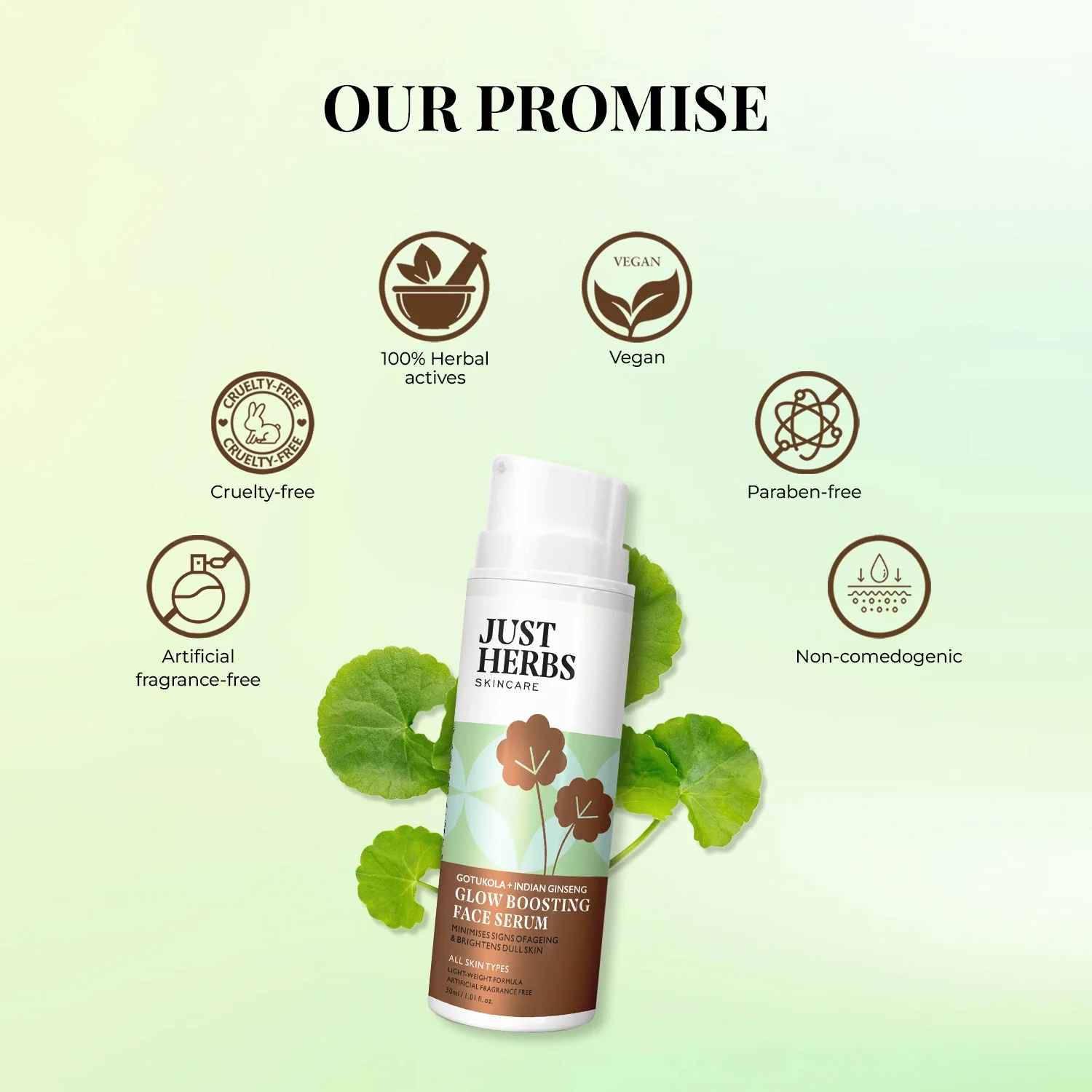 Glow Boosting Face serum with Gotukola and Indian Ginseng - Image 7