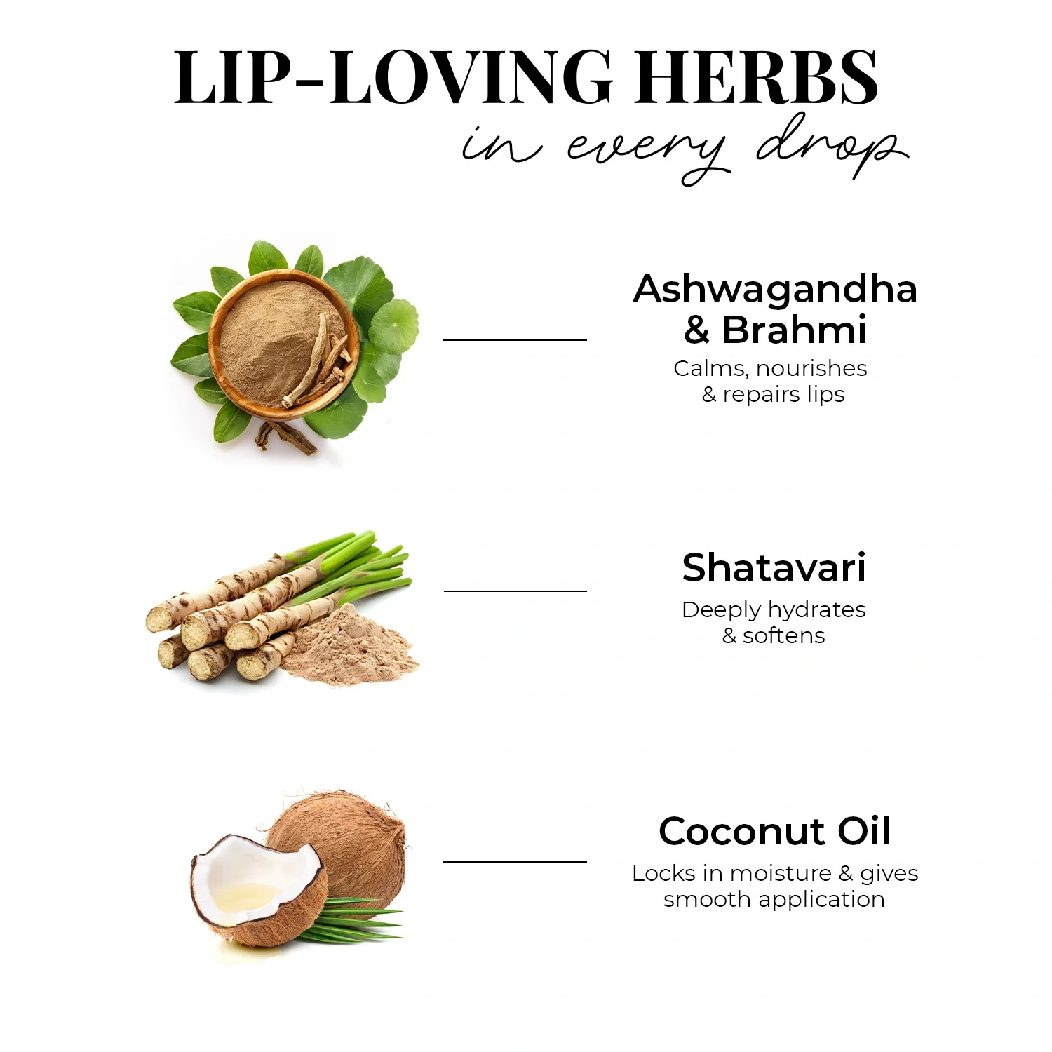 Herb Enriched Matte Liquid Lipstick Kit- Set of 5 - Image 15