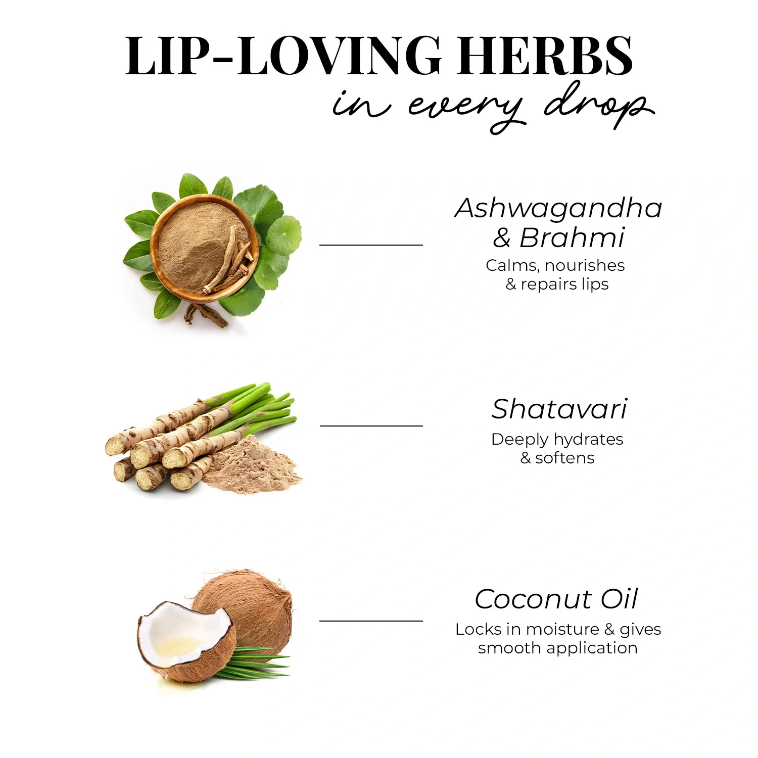 Herb Enriched Matte Liquid Lipstick Kit- Set of 5 - Image 25