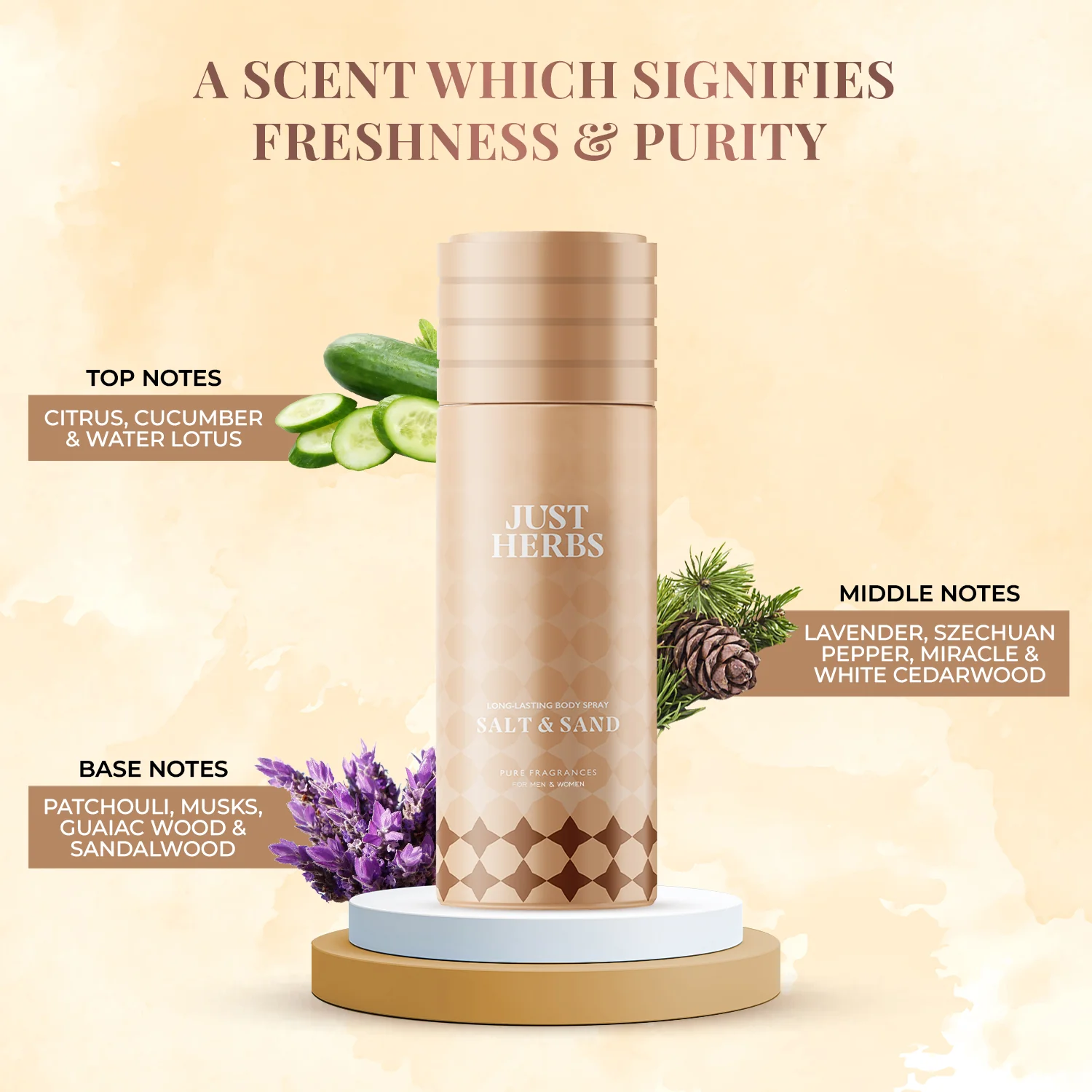 Long Lasting Salt and Sand Deodorant Body Spray For Men & Women - Image 5