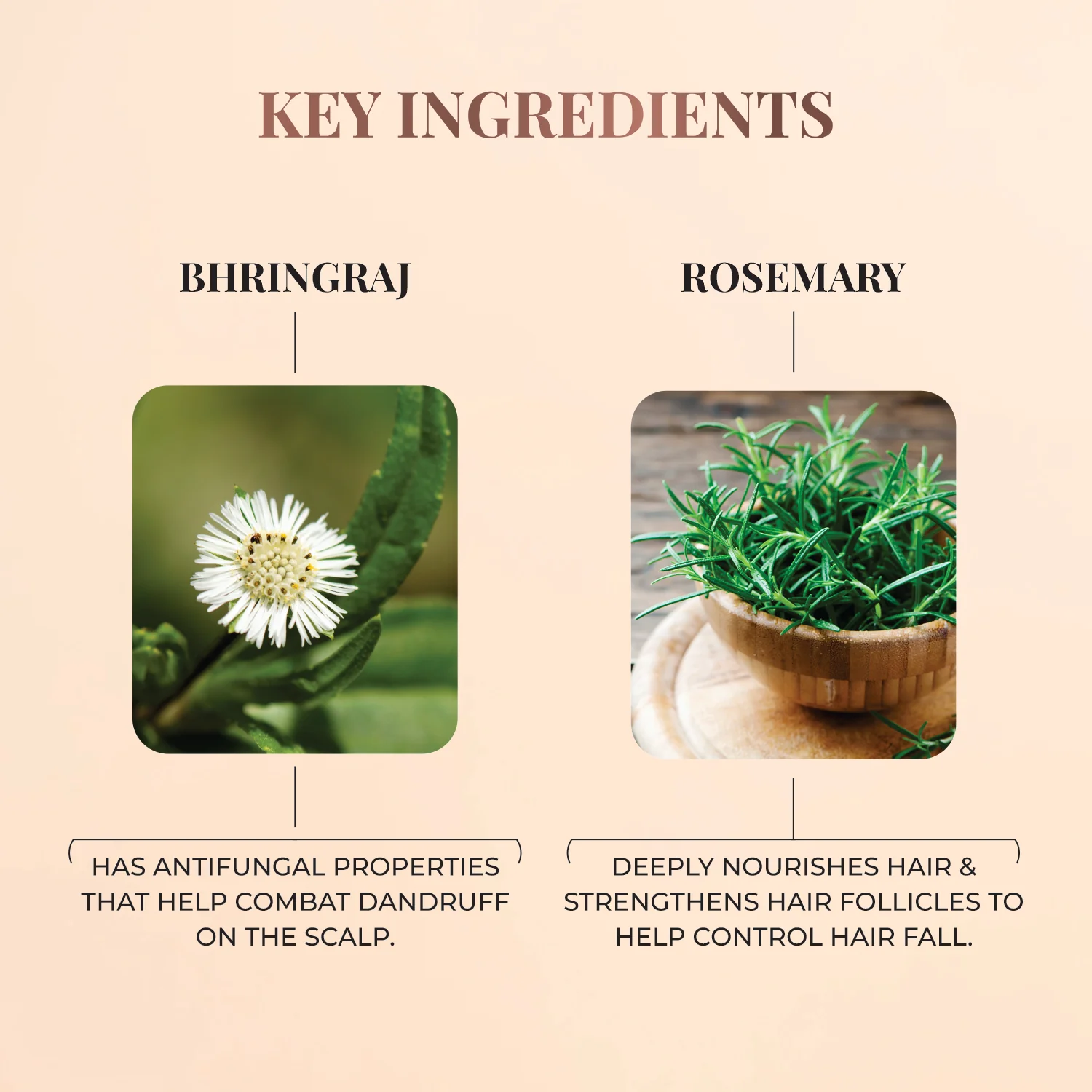 Nourishing Hair Cream with Bhringraj & Rosemary - Image 6