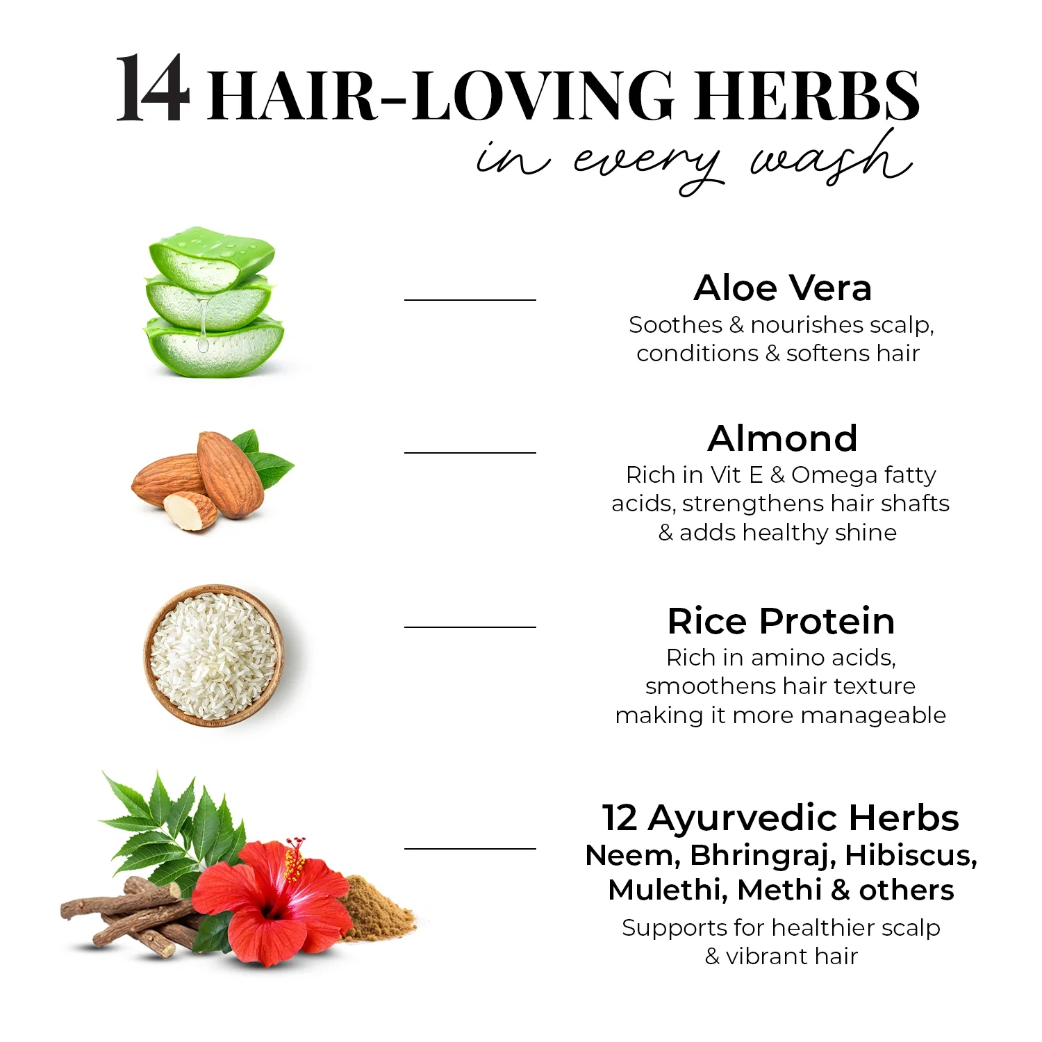 Smooth & Shine Shampoo for Dry and Frizzy Hair| Aloe Vera, Almond, Rice Protein & 12 Herbs - Image 5