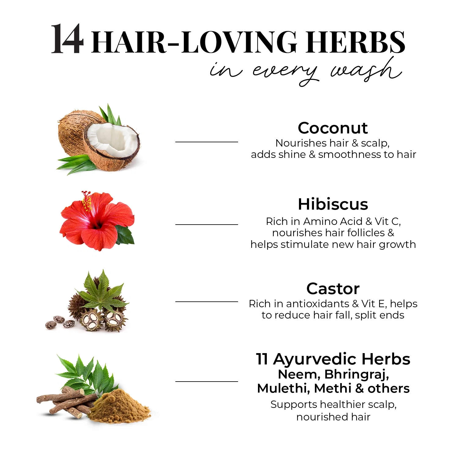 Strong & Nourish Shampoo | Coconut, Hibiscus, Castor & 11 Herbs - Image 5