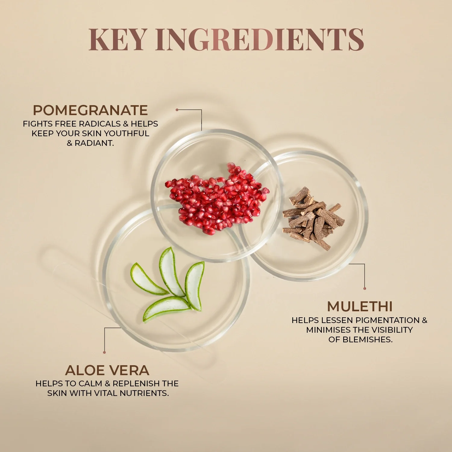 Tinted Serum Sunscreen with SPF 50+ PA+++ - Image 6