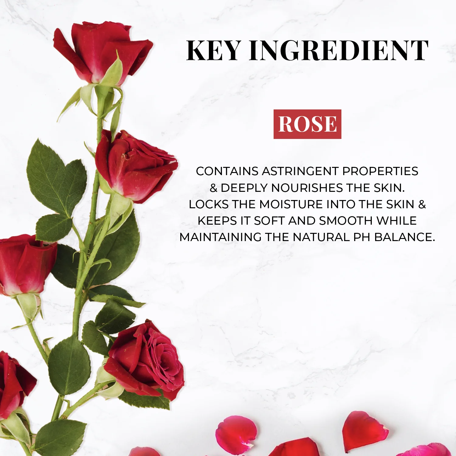 Wild Indian Rose Nourishing Handmade Bathing Bar - Image 7